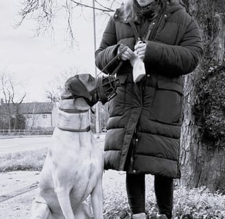 Dog walker with reactive dog in muzzle - black and white