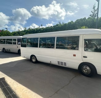 sunset transport buses