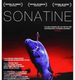 Sonatine Takeshi Kitano streaming ventes documentations
