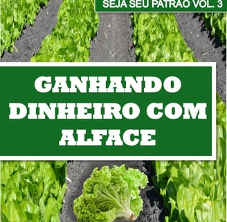 LIVRO- GANHANDO DINHEIRO COM ALFACE