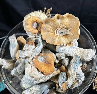 Where Can I Buy Magic Mushrooms Online in the UK