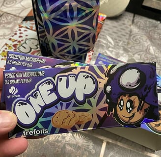 Understanding Magic Mushroom Chocolate vs. Raw Mushrooms