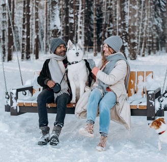 keeping pets safe in extreme cold