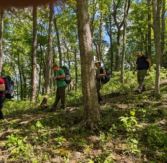 It's all downhill from here! ;-)