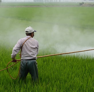un hombre con camisa blanca fumigando un campo