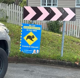 Koala Sighting Sign BCC