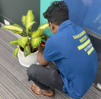 PLANT MAINTANANCE SERVICE AT OFFICE