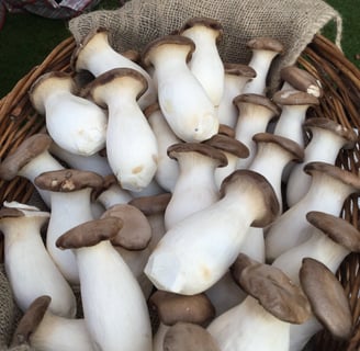 Big mushrooms - very tasty