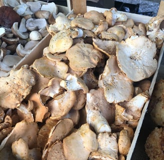 Beige mushrooms. Mmmmmm nice.