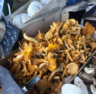 Orangey mushrooms