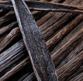 the best vanilla beans