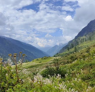 a mountain scene with a cow grazing in the valley
