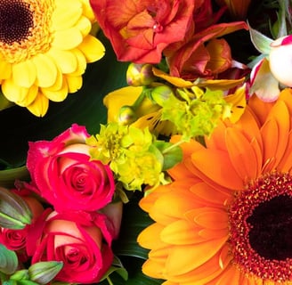 Flores