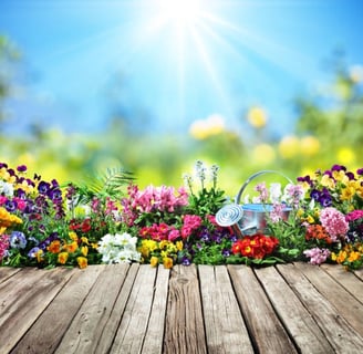 Jardim Florido