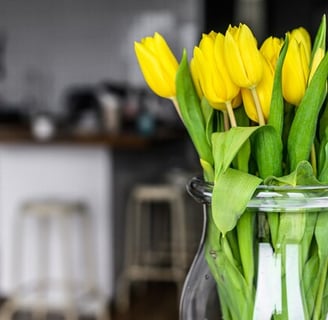 Tulipas amarelas