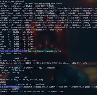 ffmpeg in action