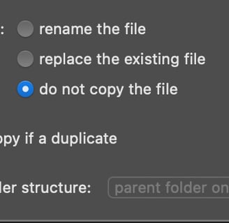 options for Parent