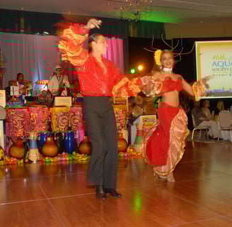You will feel the RITMO!® Latin intaractive entertainment bands, orchestras, dancers, drummers