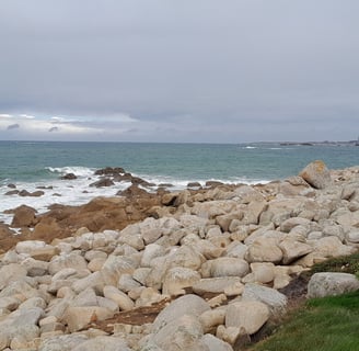 sortie à la mer fauteuil roulant handicap