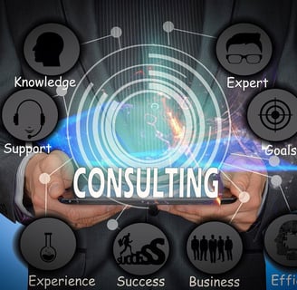 software implementation consultant