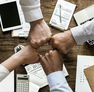 NetSuite rescue projects