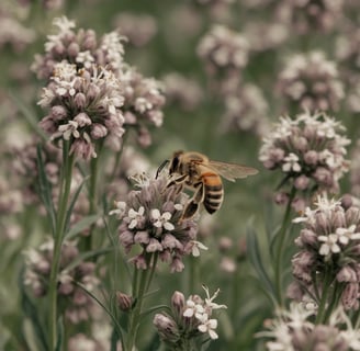 One bee on a flower