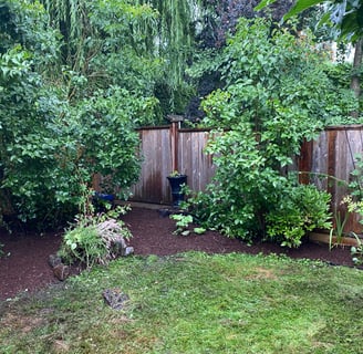 mulched garden bed