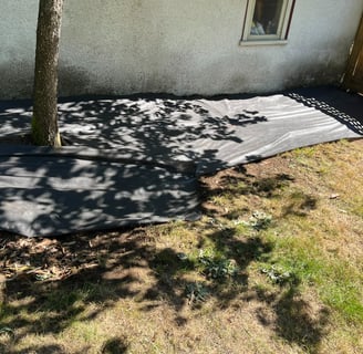 Weed Matted Bed