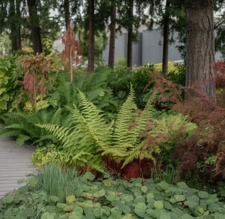 Large Vancouver Native Garden