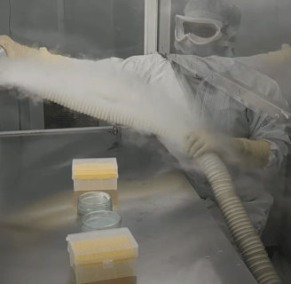 laminar flow hood smoke test