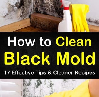 a person cleaning a mold mold mold mold mold mold mold mold mold mold mold mold