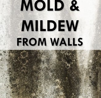 a mold mold mold mold mold mold mold mold mold mold mold mold mold mold mold