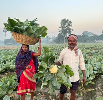 a man and woman standing in a field with a NXG Delight Cauliflower basket on top of a