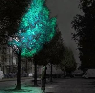 Árvore iluminando a rua