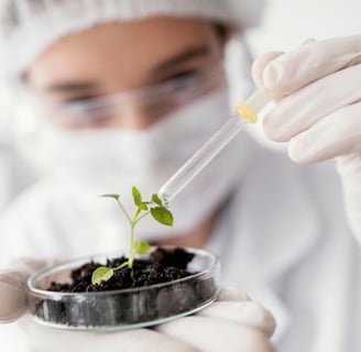 Hormônios Vegetais O Segredo das Auxinas e Citocininas