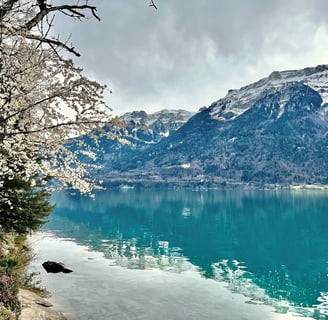 The turqoise blue water of Lake Brienz Switzerland reflecting the mountains above