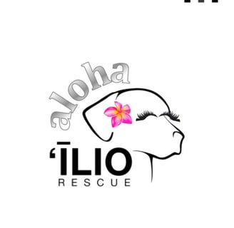 a logo for a flo rescue rescue