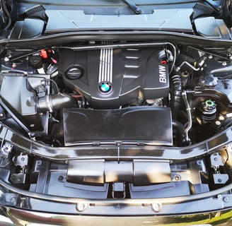 cosmetizare motor bmw