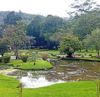Victoria Park Pond near Nobel Bungalow Nuwara Eliya – relaxing nature spot close to the stay