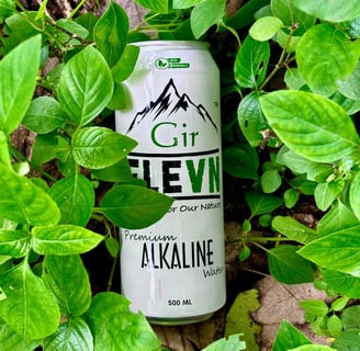 a can of ginevil in a can of gin