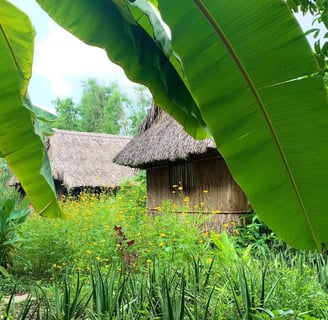 Bamboo house surrounded by blooming wildflowers and banana leaves at Saigon Garden Homestay.