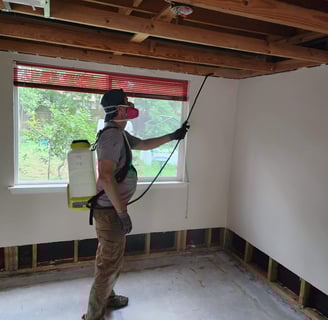 Prevent Mold After Water Damage