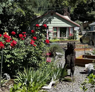 Oakridge Real Estate Home for sale