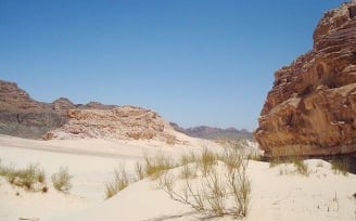 Desert safari Bedouin star