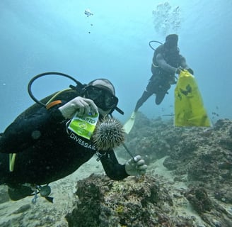 Scuba Diver Regie picking up trash and collecting crown of thorns out of the waters of Shangrila