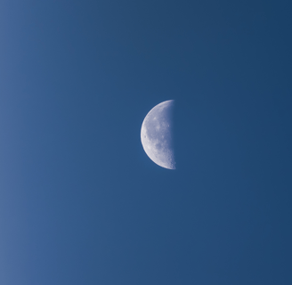 demi lune ekadashi