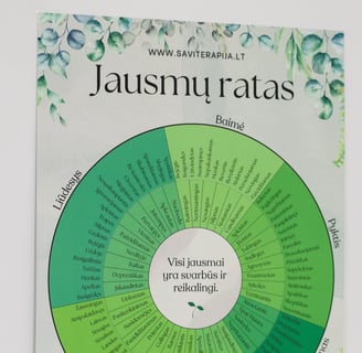 Emocijų ir jausmų ratas