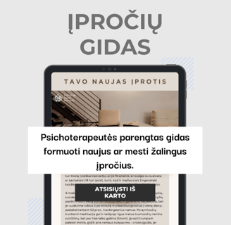 Gabija Petravičė, įpročių gidas pagal kognityvinę elgesio terapiją