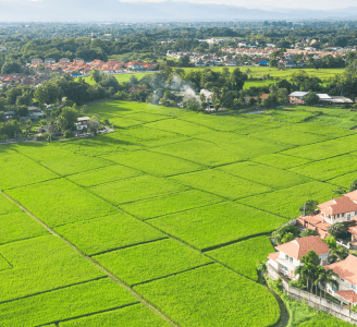Imagem de uma parte da cidade mostrando um loteamento sem construções