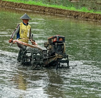 https://www.pexels.com/id-id/pencarian/pekerja%20pemerintahan%20indonesia/